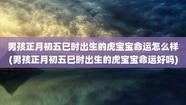 男孩正月初五巳时出生的虎宝宝命运怎么样(男孩正月初五巳时出生的虎宝宝命运好吗)