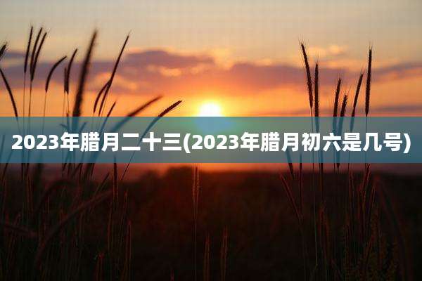 2023年腊月二十三(2023年腊月初六是几号)