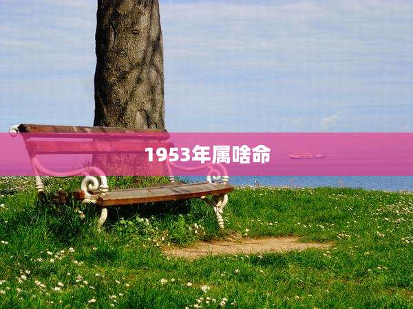 1953年属啥命
