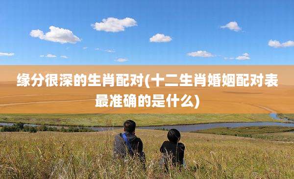 缘分很深的生肖配对(十二生肖婚姻配对表最准确的是什么)