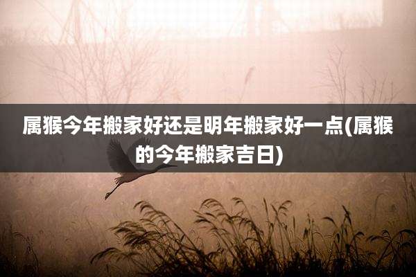 属猴今年搬家好还是明年搬家好一点(属猴的今年搬家吉日)