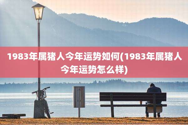 1983年属猪人今年运势如何(1983年属猪人今年运势怎么样)