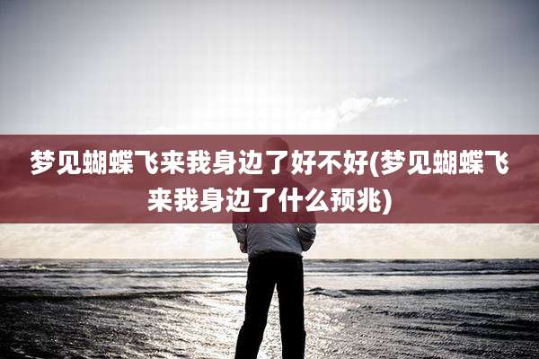 梦见蝴蝶飞来我身边了好不好(梦见蝴蝶飞来我身边了什么预兆)