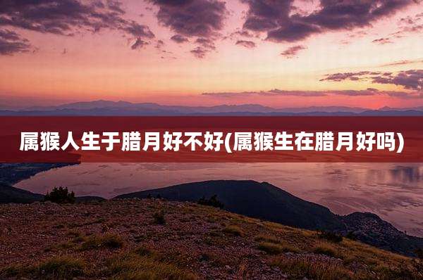 属猴人生于腊月好不好(属猴生在腊月好吗)