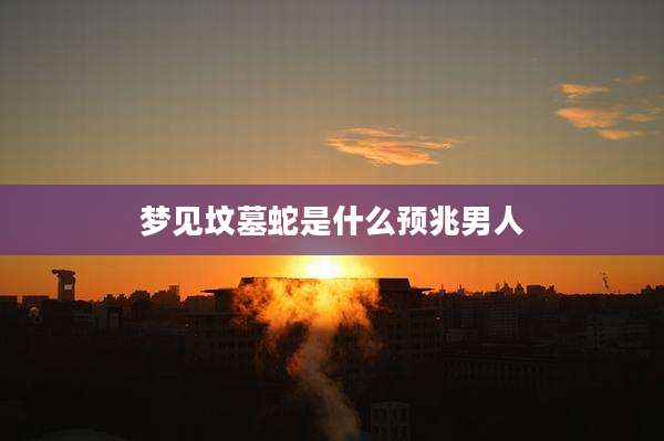 梦见坟墓蛇是什么预兆男人
