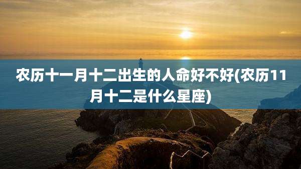 农历十一月十二出生的人命好不好(农历11月十二是什么星座)