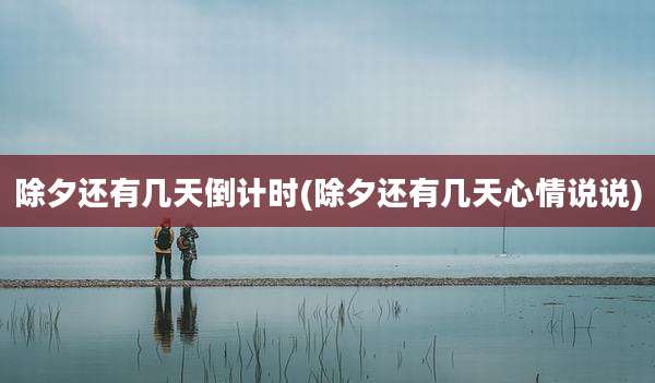 除夕还有几天倒计时(除夕还有几天心情说说)