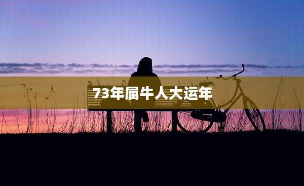 73年属牛人大运年