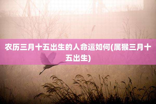 农历三月十五出生的人命运如何(属猴三月十五出生)