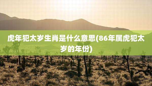 虎年犯太岁生肖是什么意思(86年属虎犯太岁的年份)