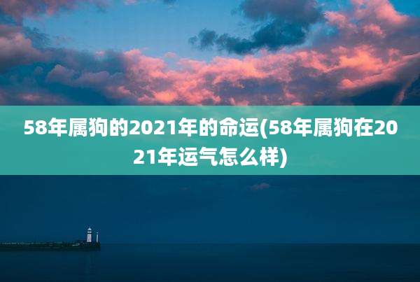 58年属狗的2021年的命运(58年属狗在2021年运气怎么样)
