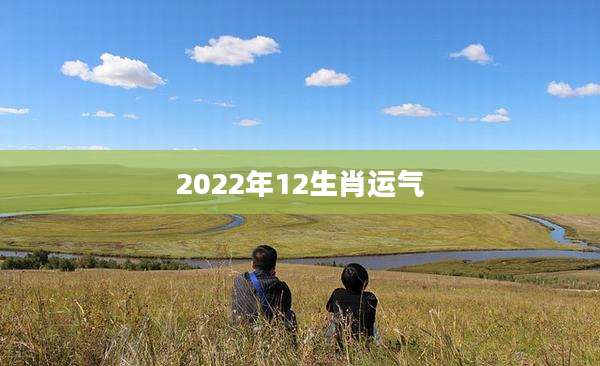 2022年12生肖运气