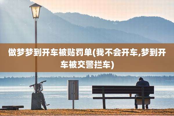 做梦梦到开车被贴罚单(我不会开车,梦到开车被交警拦车)