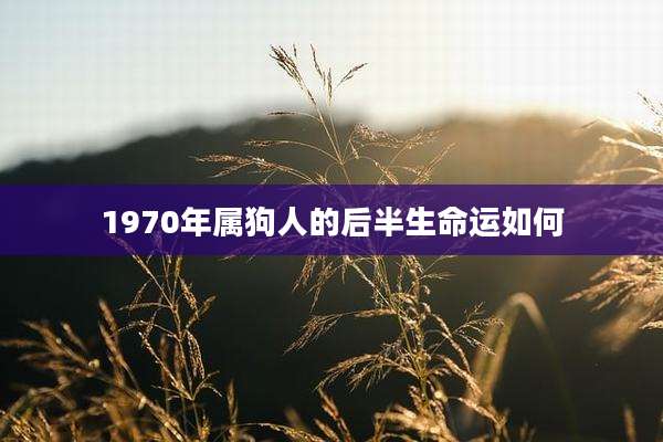 1970年属狗人的后半生命运如何