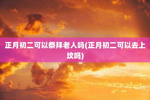 正月初二可以祭拜老人吗(正月初二可以去上坟吗)