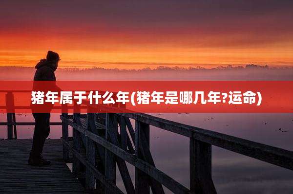 猪年属于什么年(猪年是哪几年?运命)