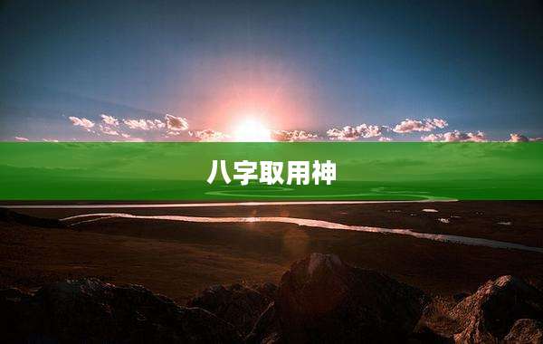 八字取用神