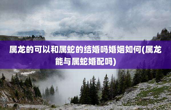 属龙的可以和属蛇的结婚吗婚姻如何(属龙能与属蛇婚配吗)