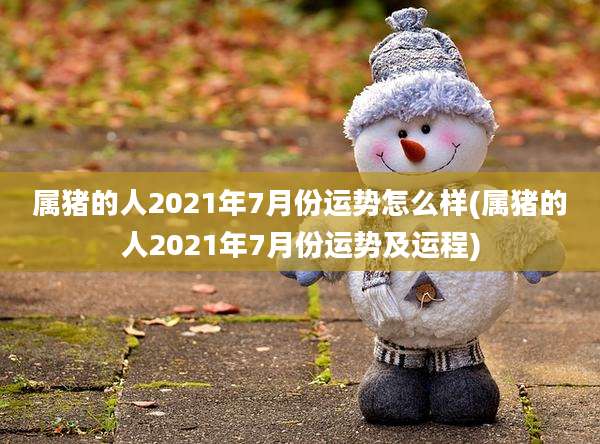 属猪的人2021年7月份运势怎么样(属猪的人2021年7月份运势及运程)