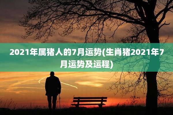 2021年属猪人的7月运势(生肖猪2021年7月运势及运程)