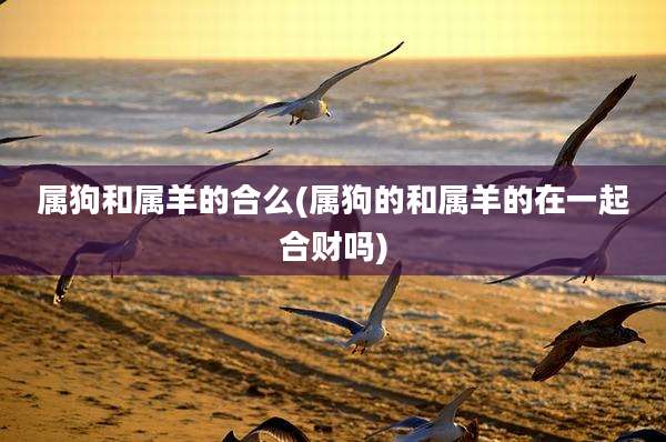 属狗和属羊的合么(属狗的和属羊的在一起合财吗)