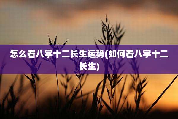 怎么看八字十二长生运势(如何看八字十二长生)