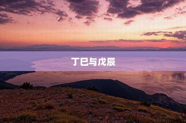 丁巳与戊辰