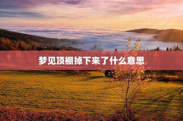 梦见顶棚掉下来了什么意思
