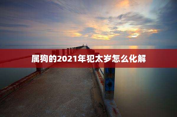 属狗的2021年犯太岁怎么化解
