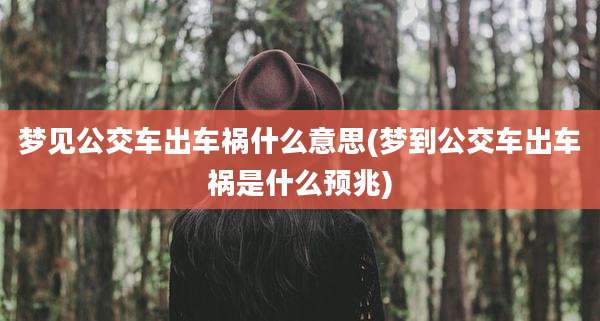梦见公交车出车祸什么意思(梦到公交车出车祸是什么预兆)