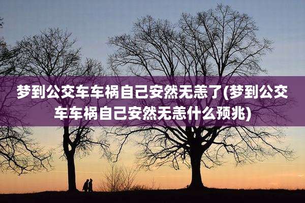 梦到公交车车祸自己安然无恙了(梦到公交车车祸自己安然无恙什么预兆)