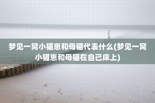 梦见一窝小猫崽和母猫代表什么(梦见一窝小猫崽和母猫在自己床上)