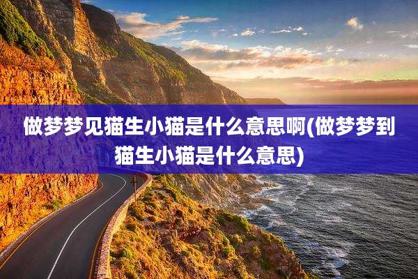 做梦梦见猫生小猫是什么意思啊(做梦梦到猫生小猫是什么意思)