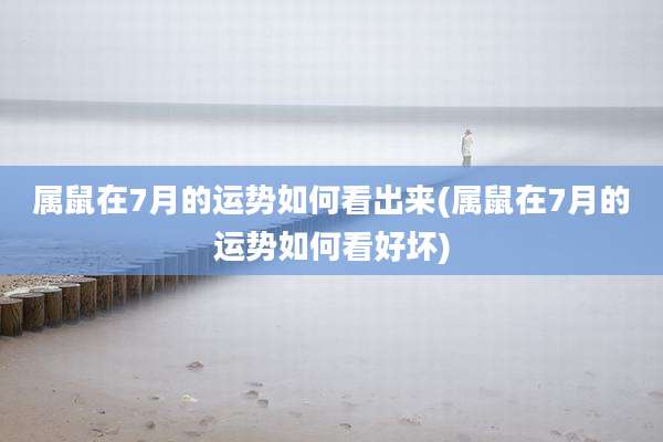属鼠在7月的运势如何看出来(属鼠在7月的运势如何看好坏)