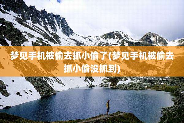 梦见手机被偷去抓小偷了(梦见手机被偷去抓小偷没抓到)
