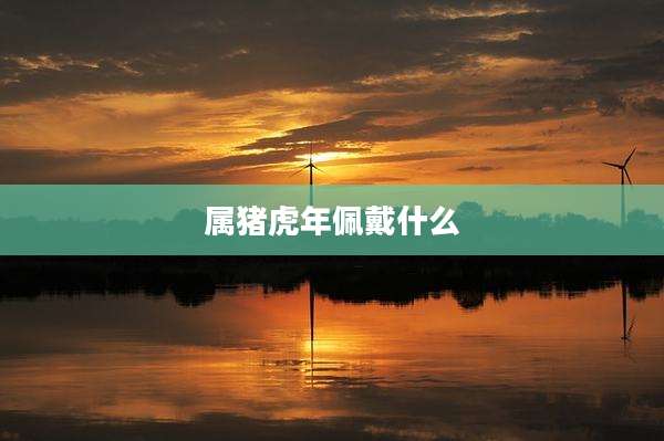 属猪虎年佩戴什么