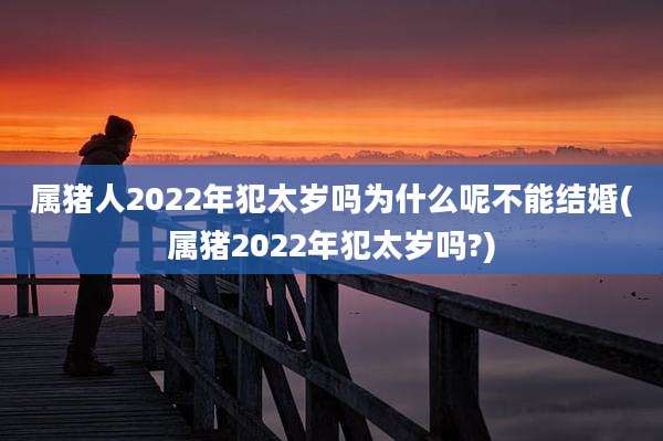 属猪人2022年犯太岁吗为什么呢不能结婚(属猪2022年犯太岁吗?)