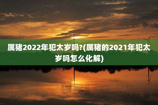 属猪2022年犯太岁吗?(属猪的2021年犯太岁吗怎么化解)