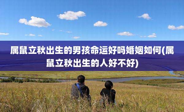 属鼠立秋出生的男孩命运好吗婚姻如何(属鼠立秋出生的人好不好)