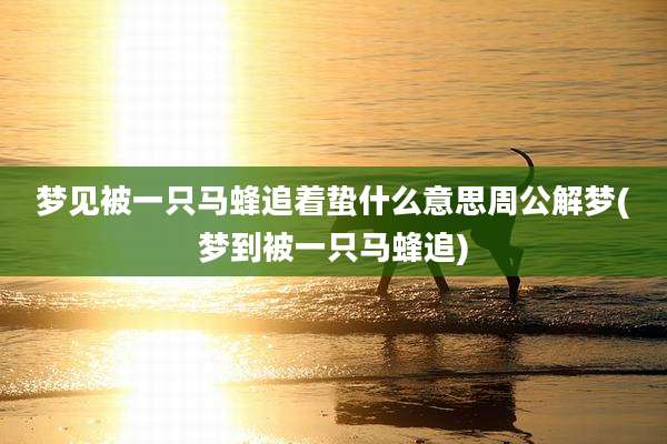 梦见被一只马蜂追着蛰什么意思周公解梦(梦到被一只马蜂追)