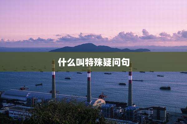 什么叫特殊疑问句