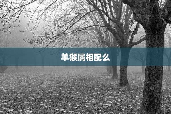 羊猴属相配么