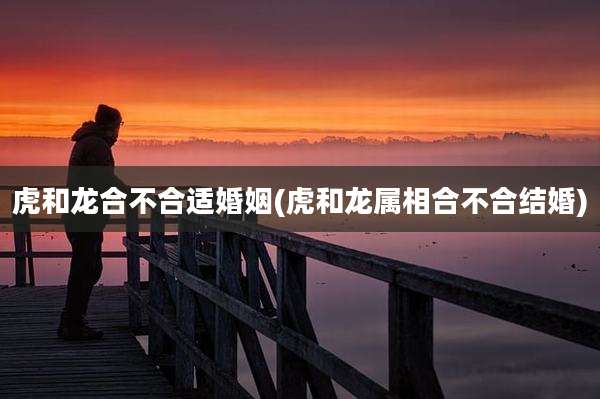 虎和龙合不合适婚姻(虎和龙属相合不合结婚)