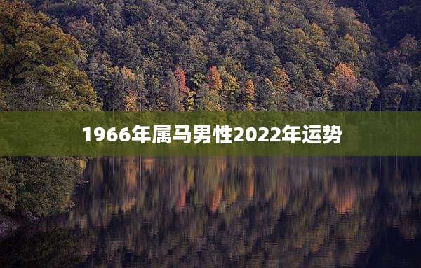 1966年属马男性2022年运势
