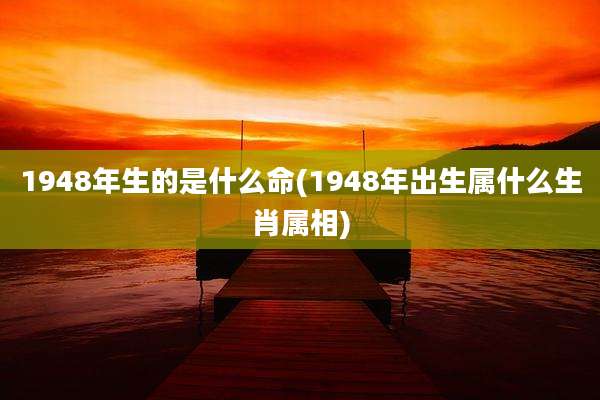 1948年生的是什么命(1948年出生属什么生肖属相)