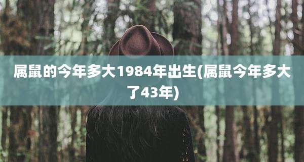 属鼠的今年多大1984年出生(属鼠今年多大了43年)