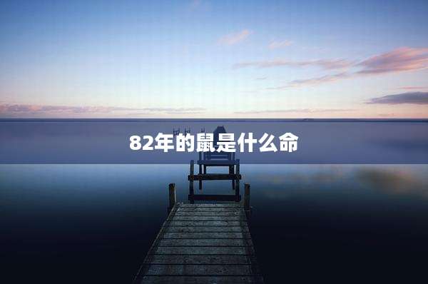 82年的鼠是什么命