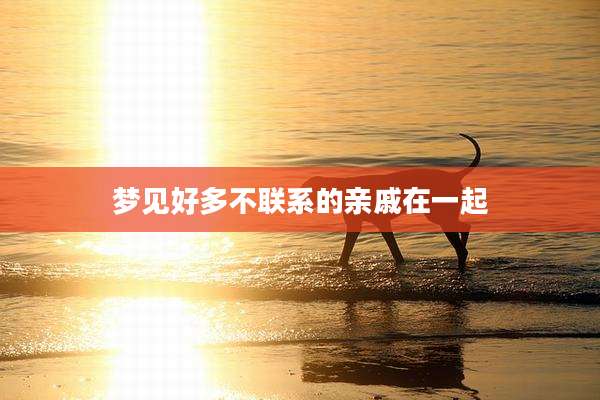 梦见好多不联系的亲戚在一起