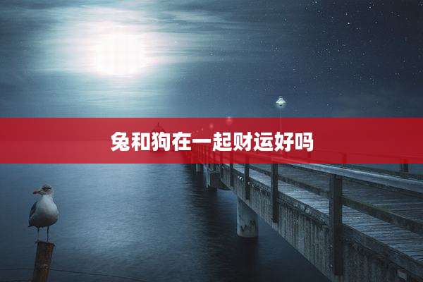 兔和狗在一起财运好吗
