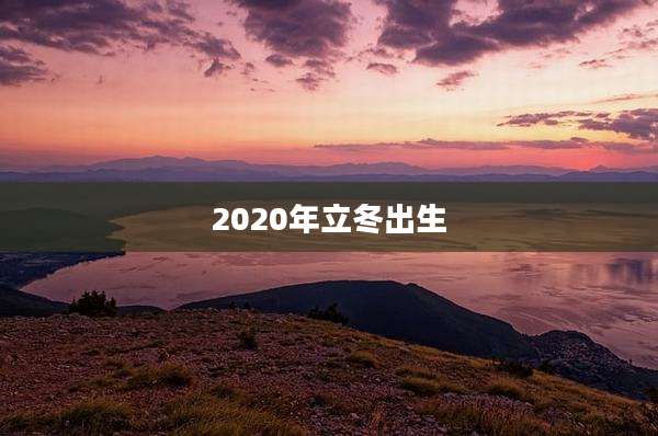 2020年立冬出生